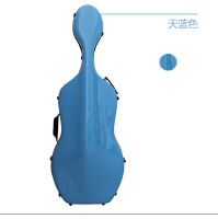 CELLO CASE 165.jpg